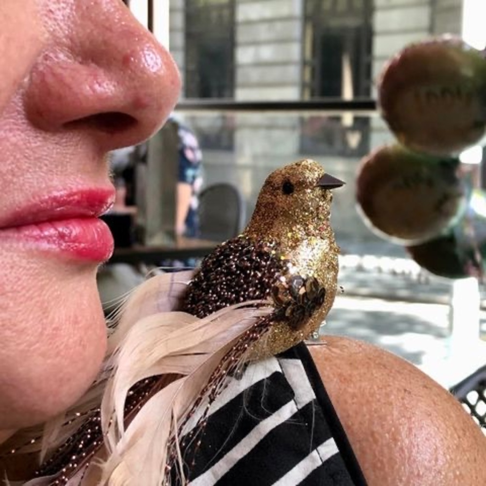 Meet your Posher, Rosie